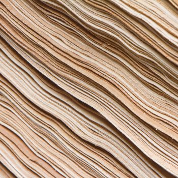 Criteria for the selection of raw material